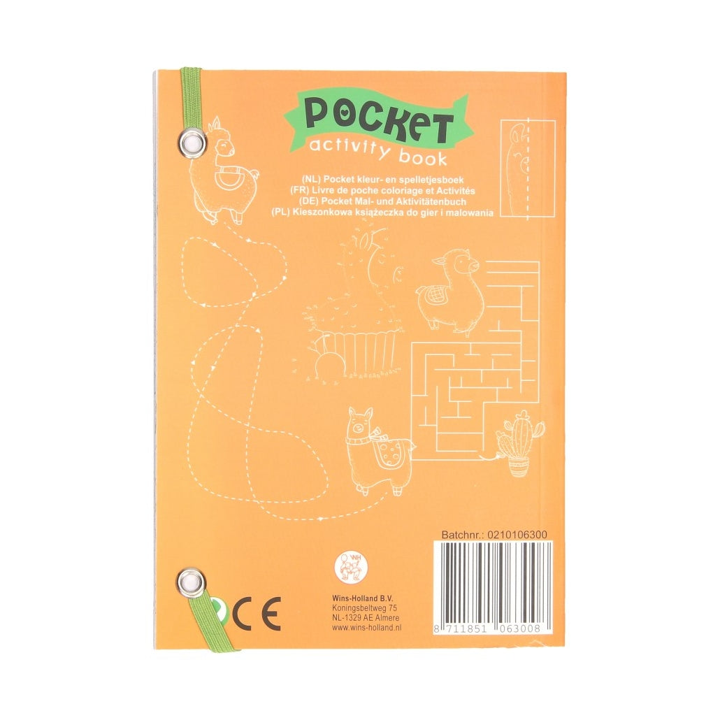 Taschenfarbenspiele Buch