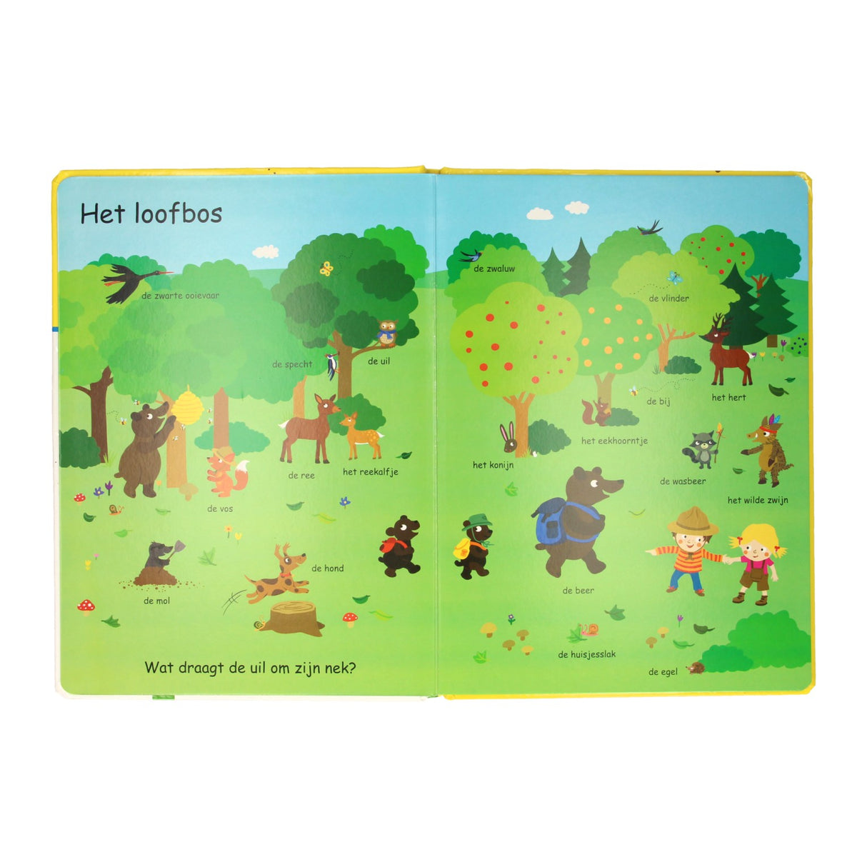 Wins Holland Search Book Image Dictionary Animals