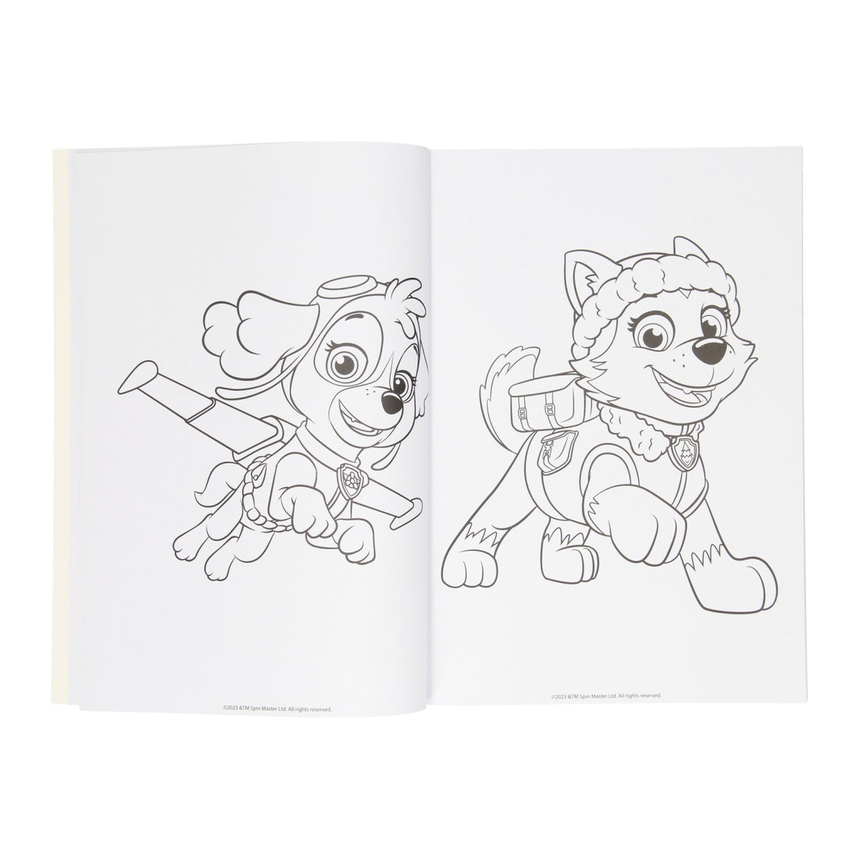 Wins holland kleurboek paw patrol, 128blz.