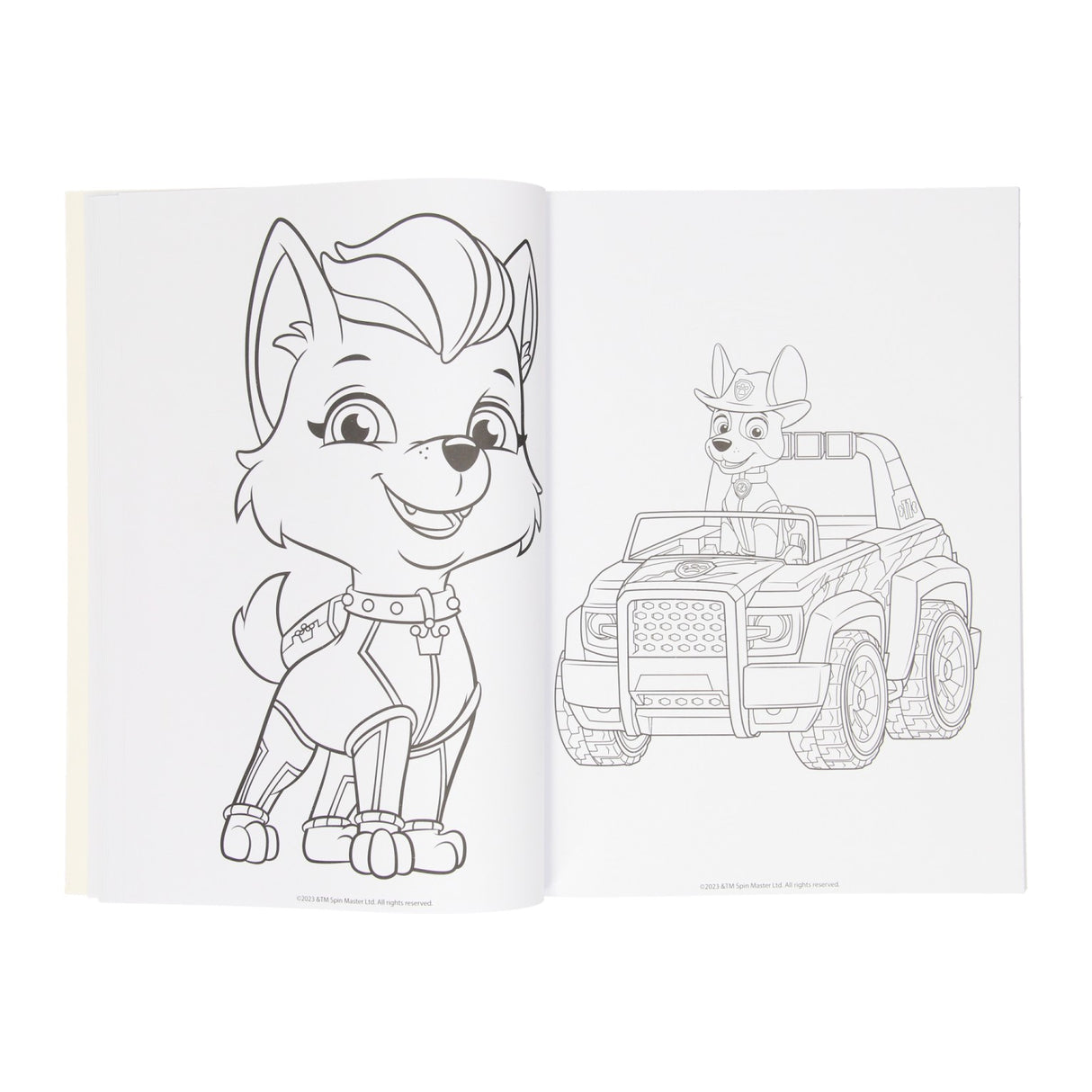 Wins holland kleurboek paw patrol, 128blz.