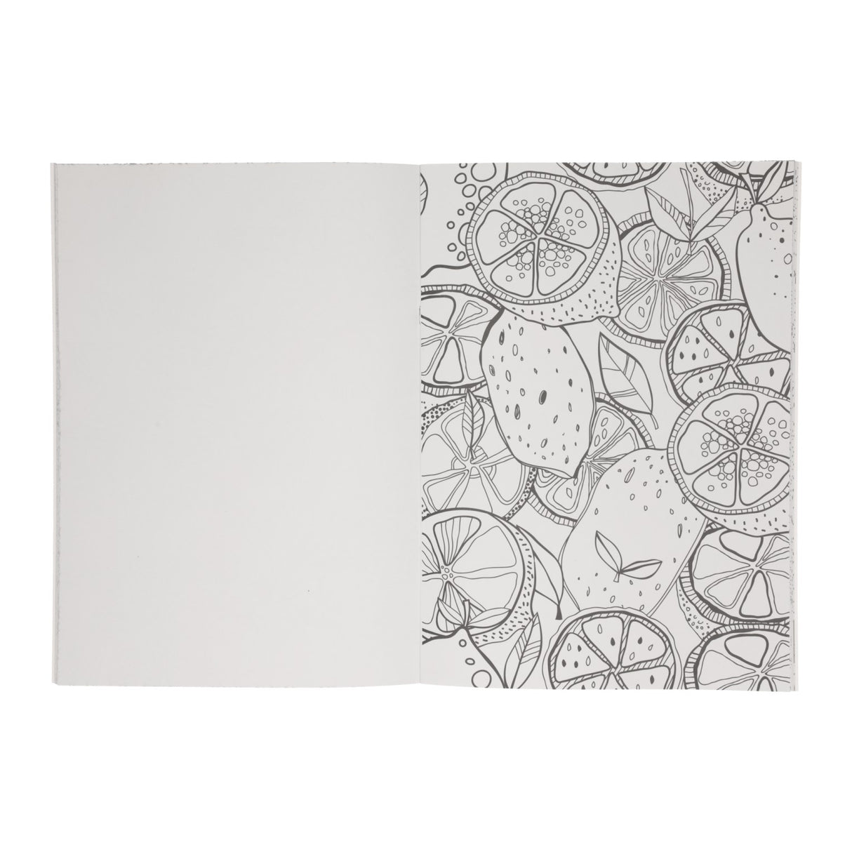 Gana el doodle del libro para colorear de Holanda