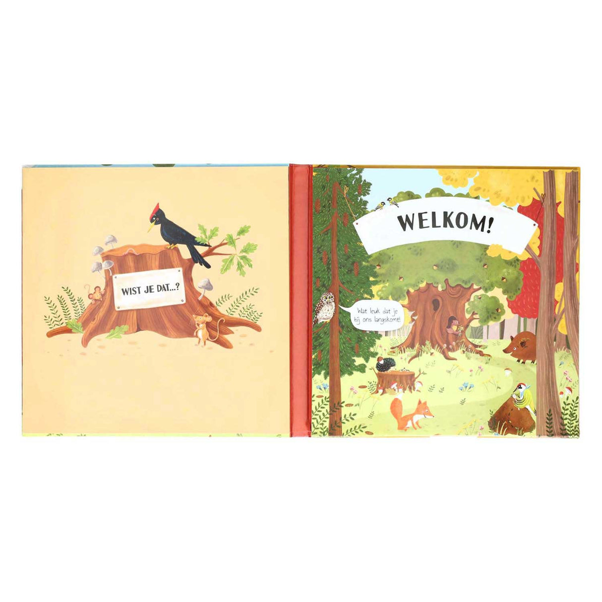 Book Specials Nederland BV Folding and Flapjesboek inside the tree