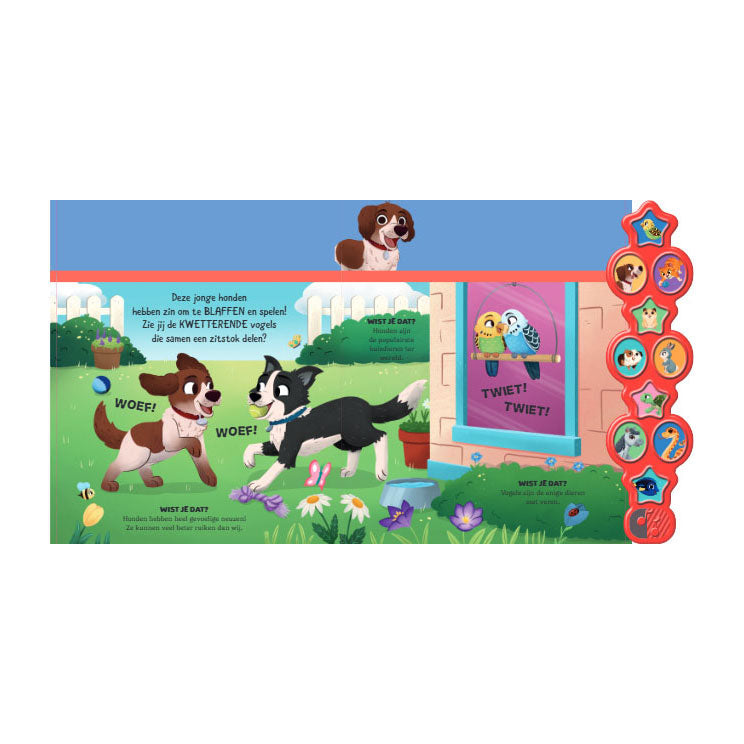 Libro de sonidos de mascotas.