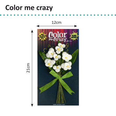 Petaloo • Färbe mir verrückte Blumensträuße, Stiefmütterchen x8