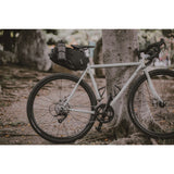 TopEak Backloader Wishbone