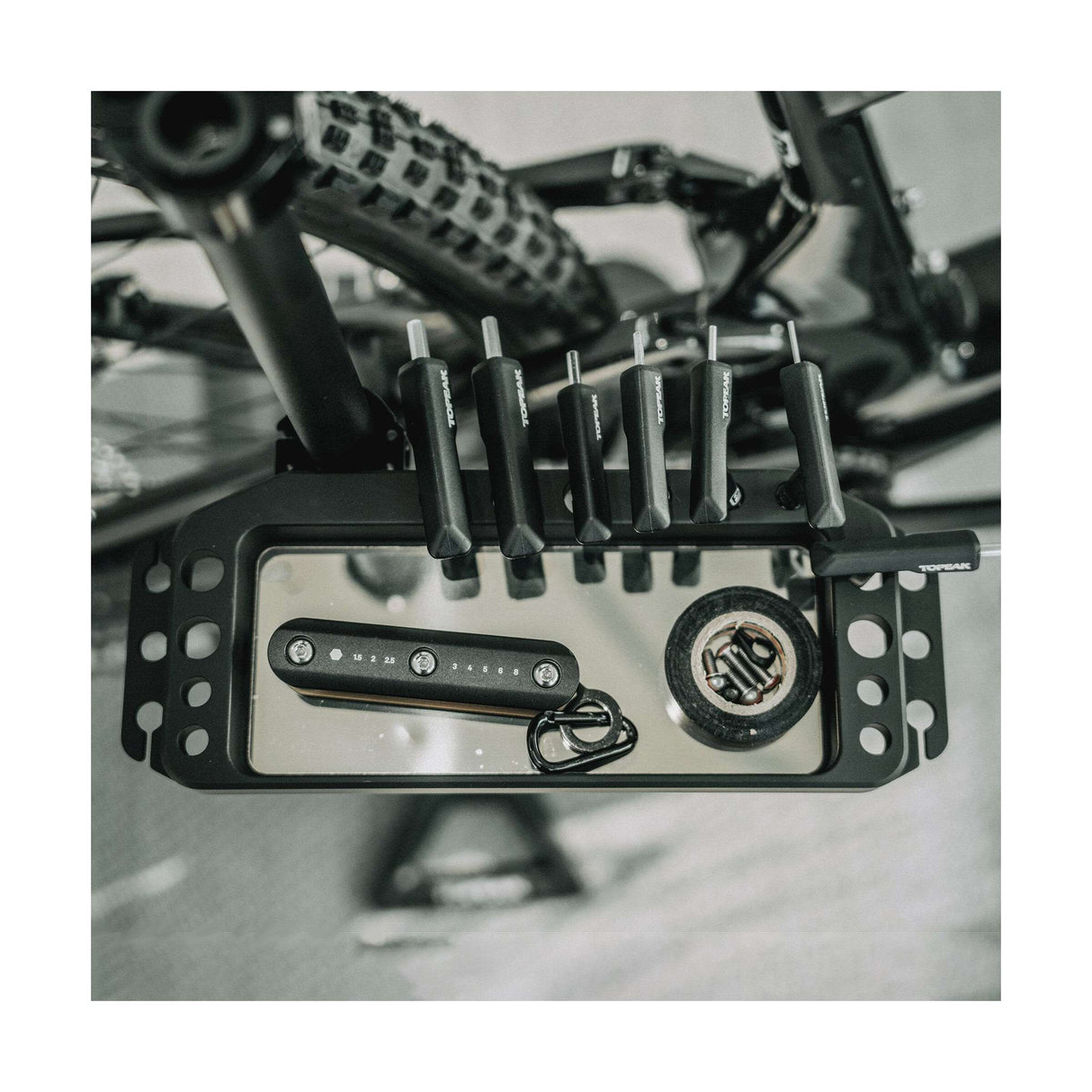 TopEak Repart Standard Tune-Up Station