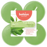 Bolsius Maxilichten True Scents Green Tea 8 pieces 8 hours
