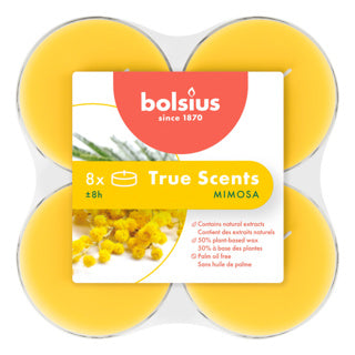 Maxilichten Clear Cup 8U True Scents Mimosa