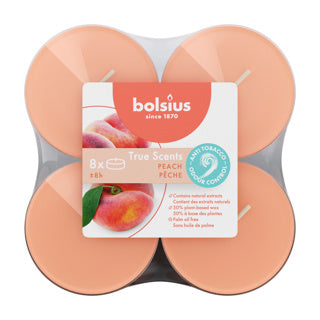 Maxilichten Clear Cup 8U True Scents Peach