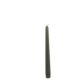 Bolsius Gothic Candles 245 24 Box 4 Fresh Olive
