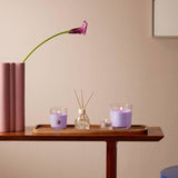Giftset Tealights