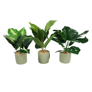 Art plant in cement pot 40 cm 3 assorti