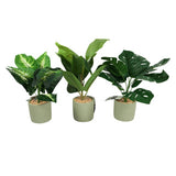 Art plant in cement pot 40 cm 3 assorti