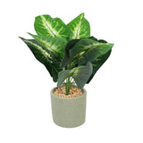 Art plant in cement pot 40 cm 3 assorti