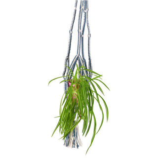 No brand in the mood collection pothouder blauw macrame 110 cm | 6 stuks