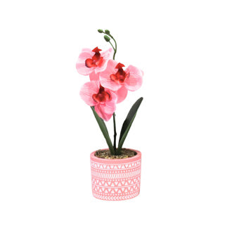 Art Orchid in pot 28 cm 6 assorti