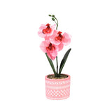 Art Orchid in pot 28 cm 6 assorti