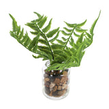 Countryfield Art Plant Pteropsida in pot 19 cm green assorti