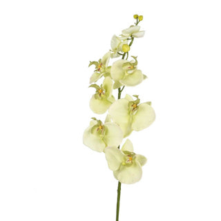 Art flower orchid cream 85 cm