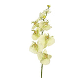 Art flower orchid cream 85 cm