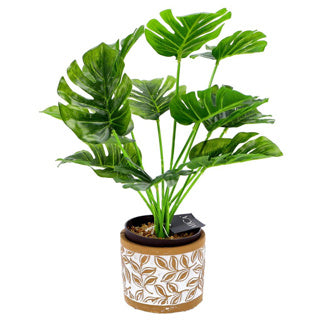 Pot Olea Cylinder Brown 11 cm