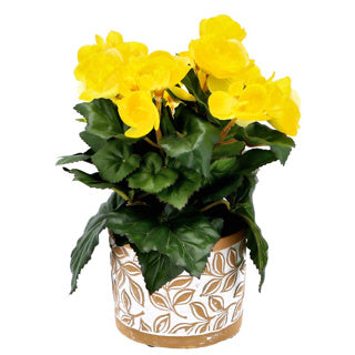 Pot Olea Cylinder Brown 11 cm