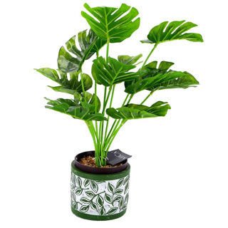 No brand pot olea cylindre vert 11 cm | 6 pièces