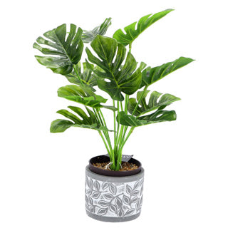 Pot Olea Cylinder Gray 11 cm