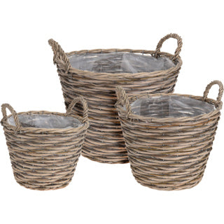 Basket set 3sts around willow