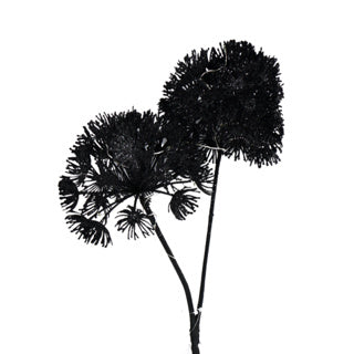 Art flower Heracleum Countryfield LED Black 75 cm