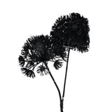 Art flower Heracleum Countryfield LED Black 75 cm
