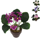 Artificial plant in Pot Cape Violin 16 cm 4 assorti