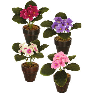 Artificial plant in Pot Cape Violin 16 cm 4 assorti