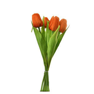 Tulip bouquet 7 Tulips 35 cm Assorti