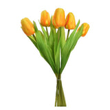 Tulip bouquet 7 Tulips 35 cm Assorti