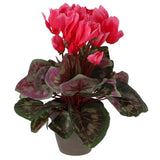 Artificial plant cyclamen pink in pot