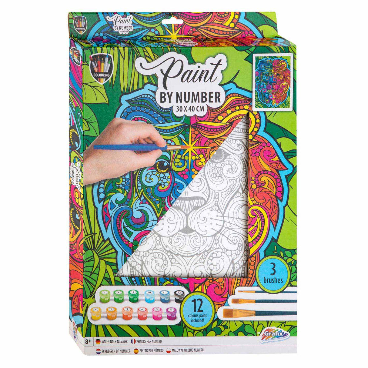 Paint on Number Canvas - Lion