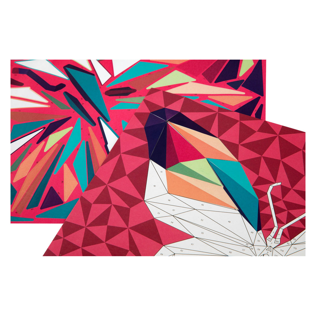 Drži po številkah - Leeuw