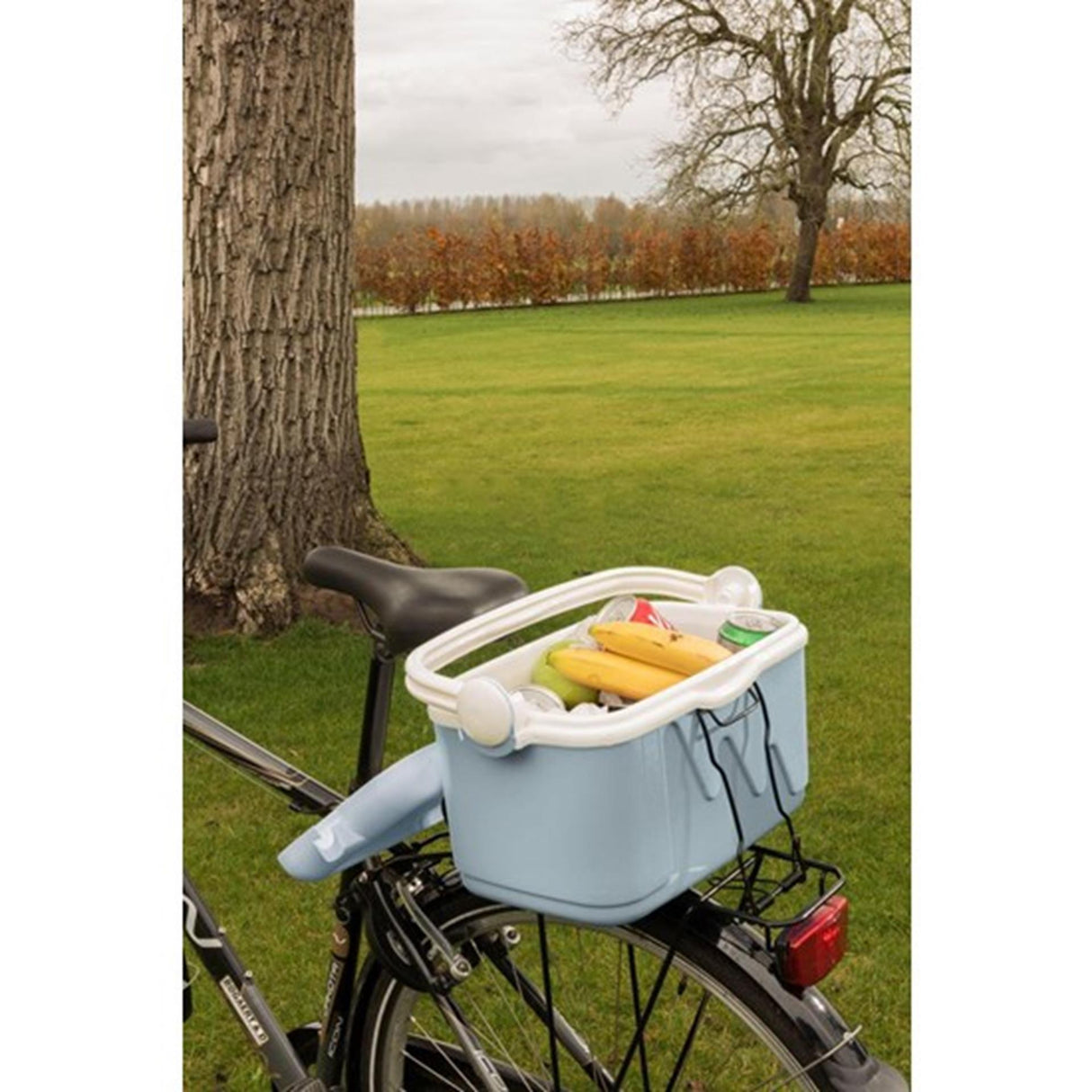 Glacière Curver 10l bleu blanc