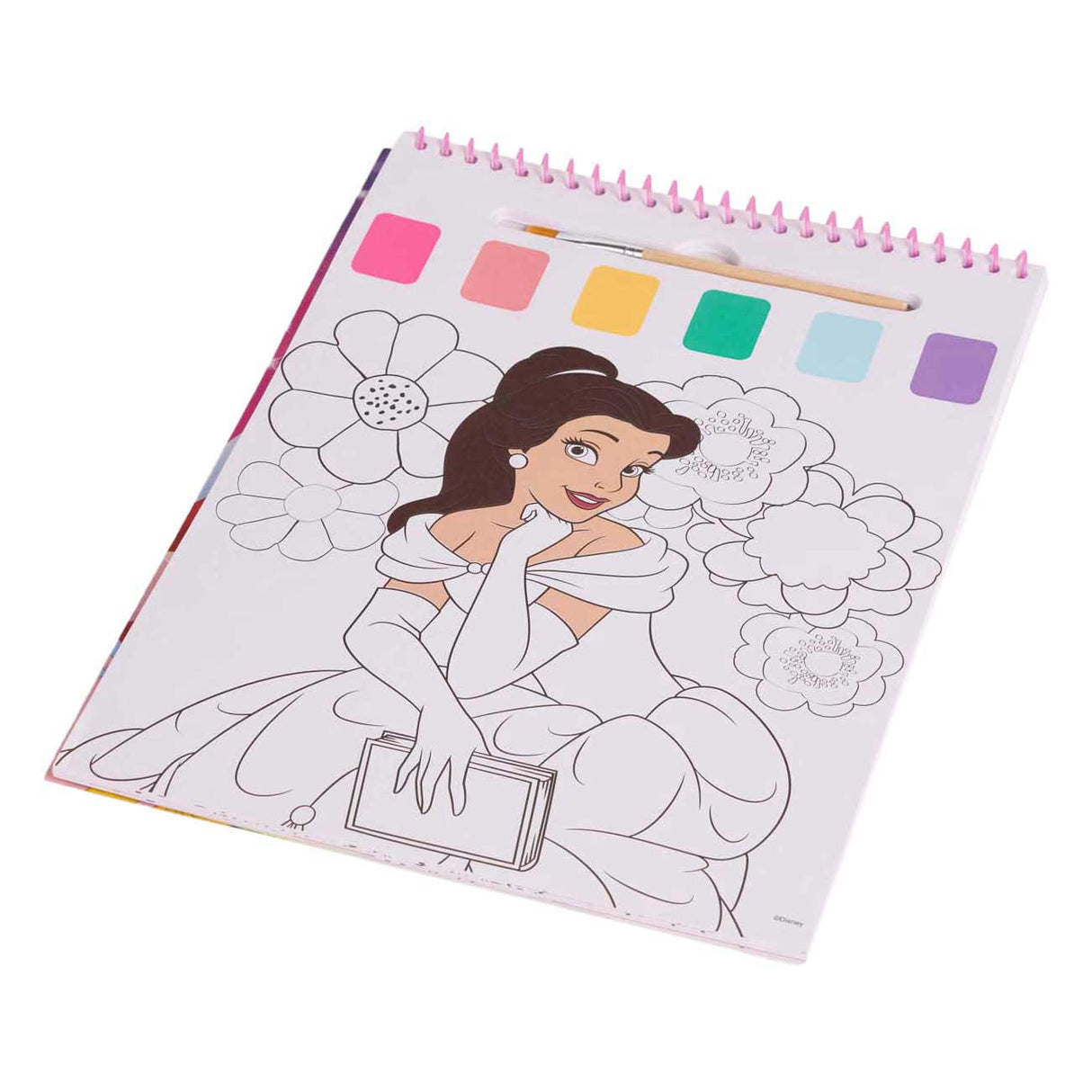 Canenco disney prinses water verfset boek - incl kwast