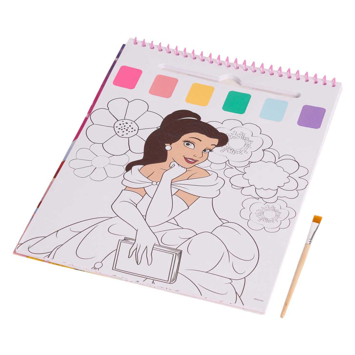 Canenco disney prinses water verfset boek - incl kwast