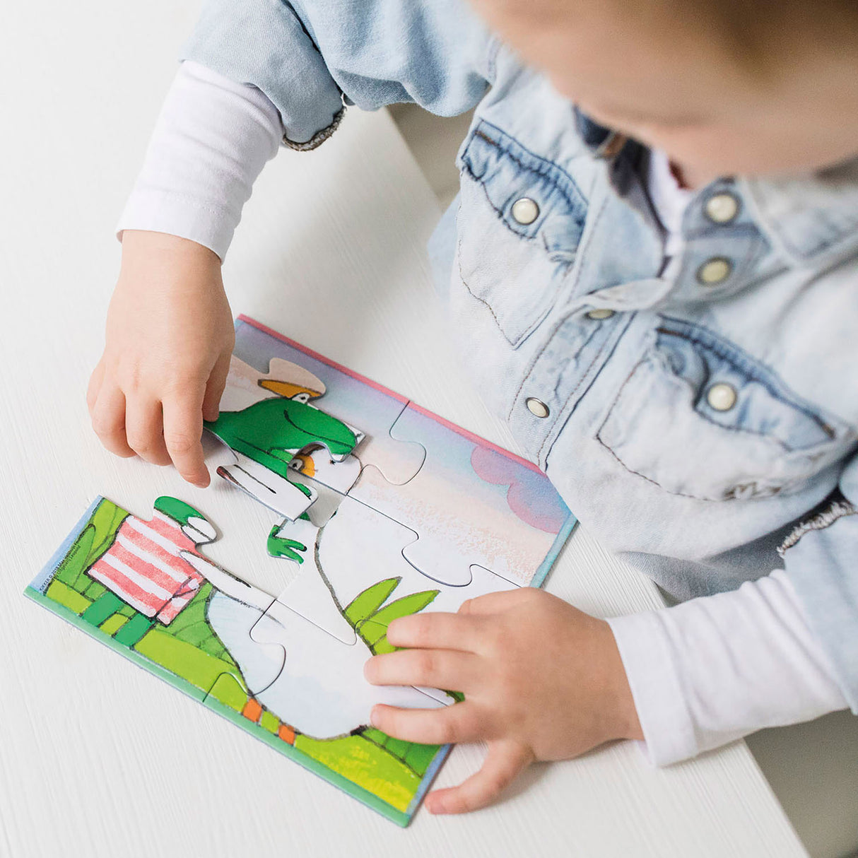 The world of Frog Puzzle, 4in1