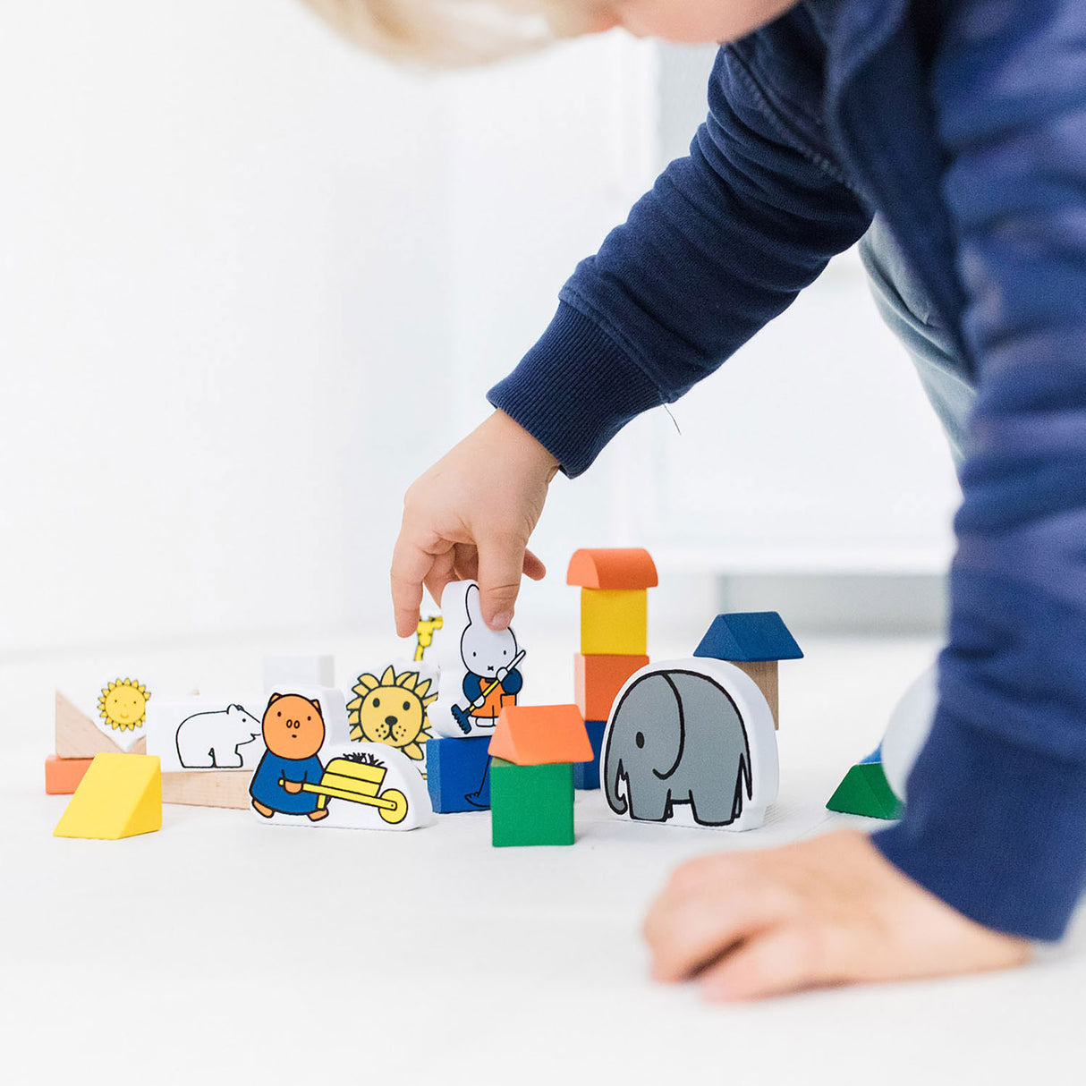 Zoo Blocks Blocks Blocks Blocks