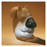 Petite écureuil léger de nuit néerlandais