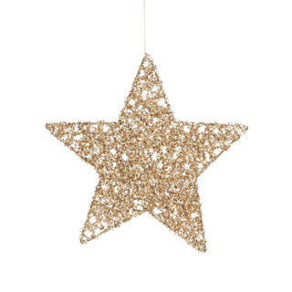 Ornament Star Champagne - D25CM
