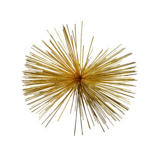 Ster petdia60cm