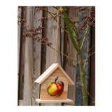 Vogelvoerhouder appelhouder