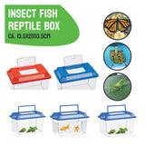 Insect box with lid
