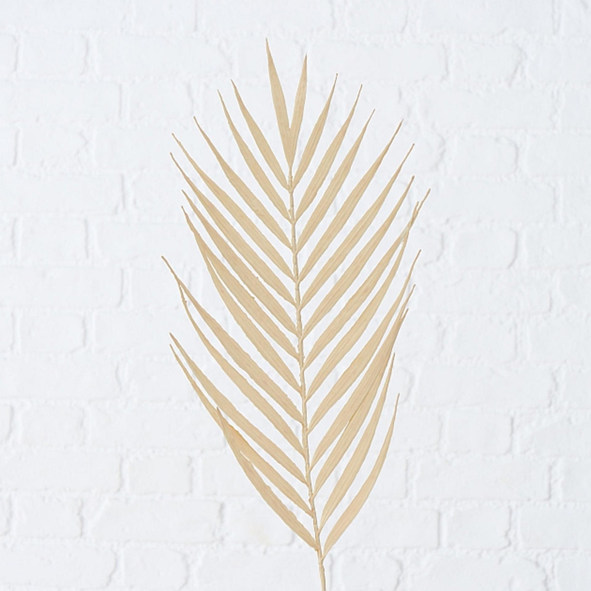 Boltze home kunsttak decotak 90cm palmblad naturel