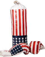 Van der Meulen Sportx punching bag set